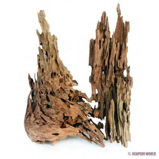Dragon Wood - Drachen Holz je kg