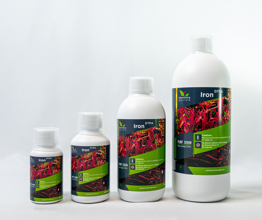 Plant Serum Eisen